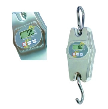 數(shù)顯電子吊秤